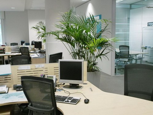 summer refreshing office furniture solutions