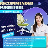 Autonomous office chair for home working manufacturers - Ekintop